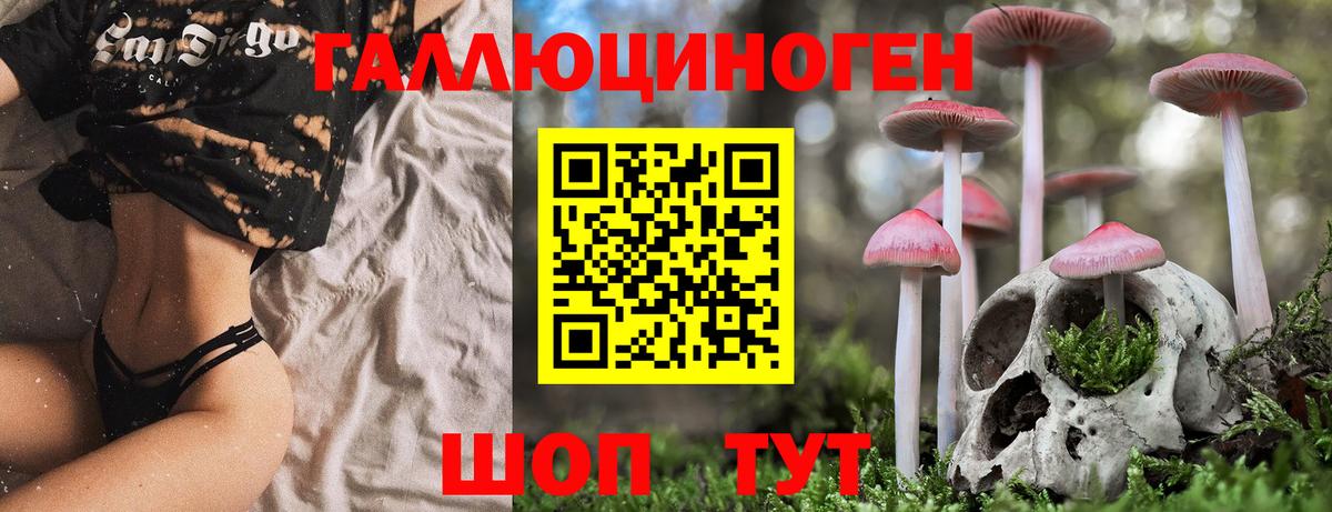 Миасс  Галлюциногенные грибы Psilocybine cubensis  Вход с VPN 